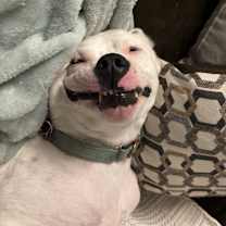 Thumbnail photo of Emmit #2