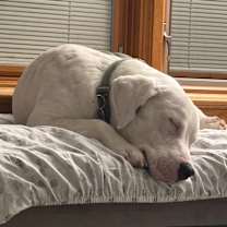 Thumbnail photo of Emmit #4