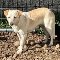 Thumbnail photo of Leroy #2