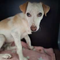 Thumbnail photo of Leroy #4