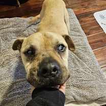 Thumbnail photo of RUBBLE #4