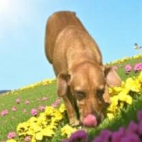 Thumbnail photo of Leah #3