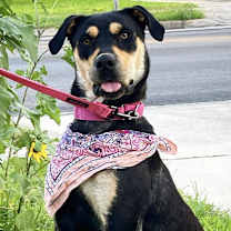 Thumbnail photo of Reyna EM* #2