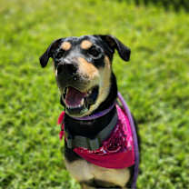 Thumbnail photo of Reyna EM* #3