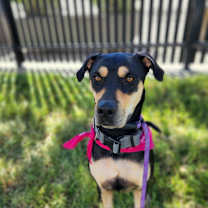 Thumbnail photo of Reyna EM* #4