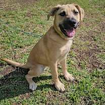 Thumbnail photo of Aspen #1