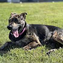 Thumbnail photo of Breezy #4