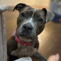 Thumbnail photo of Baby #4