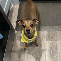 Thumbnail photo of Diego #1