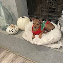 Thumbnail photo of Diego #2