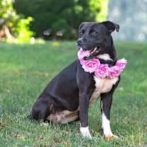 Thumbnail photo of Morgan #4