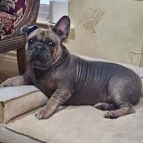 Thumbnail photo of Hank #3