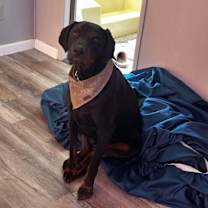 Thumbnail photo of Bear #1