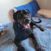 Thumbnail photo of Bear #4