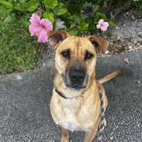 Thumbnail photo of Bella #2