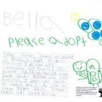 Thumbnail photo of Bella #3