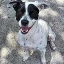 Thumbnail photo of Cee Cee #1