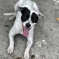 Thumbnail photo of Cee Cee #2