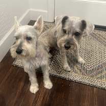 Thumbnail photo of KOBE & SYDNEY #1