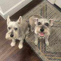 Thumbnail photo of KOBE & SYDNEY #2