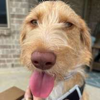 Thumbnail photo of Elmer #1