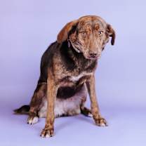 Thumbnail photo of Anna #2