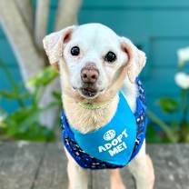 Thumbnail photo of Pauly D #1