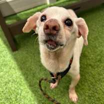 Thumbnail photo of Pauly D #2