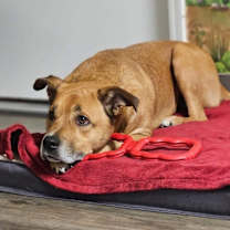 Thumbnail photo of Walter #1