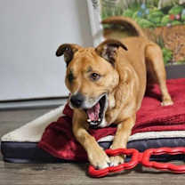 Thumbnail photo of Walter #2