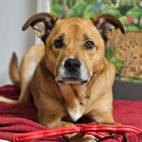 Thumbnail photo of Walter #3