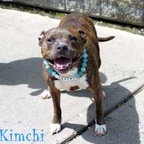 Thumbnail photo of Kimchi #2