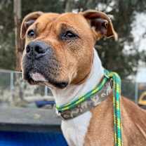 Thumbnail photo of Clarence #1