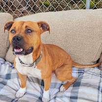 Thumbnail photo of Clarence #2