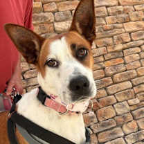 Thumbnail photo of Pretty Girl #2