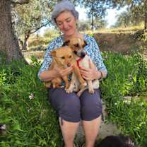 Thumbnail photo of Misty #4