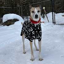 Thumbnail photo of Asha #2