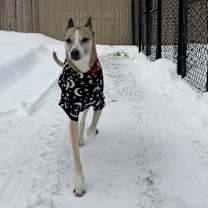 Thumbnail photo of Asha #3