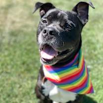 Thumbnail photo of Jeffrey #3