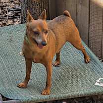 Thumbnail photo of Scout #3