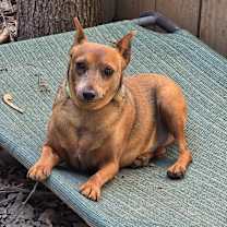 Thumbnail photo of Scout #4
