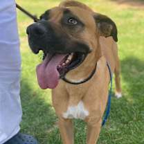 Thumbnail photo of ROMEO #1