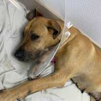 Thumbnail photo of Eliza 3551 #2