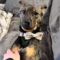 Thumbnail photo of Ryker #1