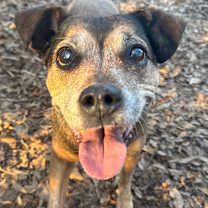 Thumbnail photo of Ethel Rose #1