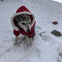 Thumbnail photo of Lea #1