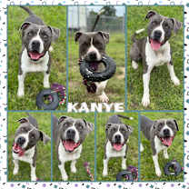 Thumbnail photo of Kanye #1