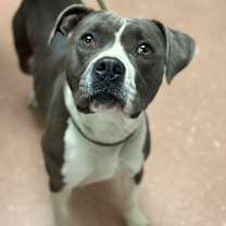 Thumbnail photo of Kanye #2