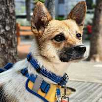 Thumbnail photo of Liel #2