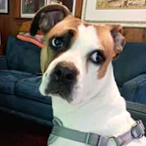 Thumbnail photo of Kayla #1